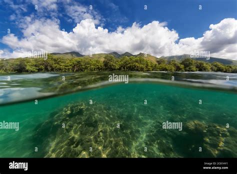 Underwater Surface Split View In Hi Res Stock Photography And Images