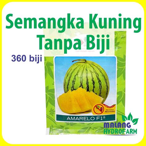 Jual Benih Semangka Kuning Tanpa Biji Amarelo F1 360 Biji Cap Panah