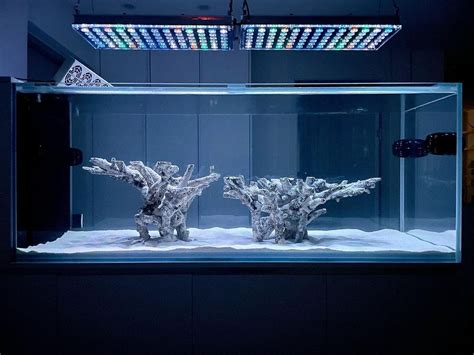 Intermediate Topic - Most beautiful aquascape reef tanks – Atlantik ...