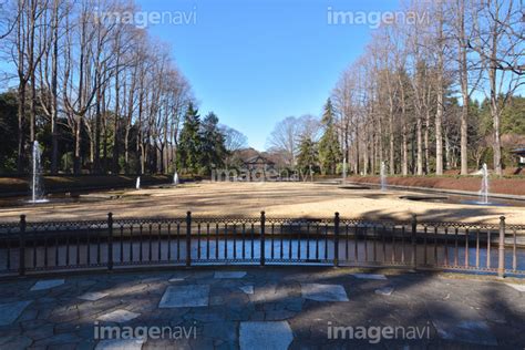 【冬の栃木県中央公園】の画像素材 31551186 写真素材ならイメージナビ