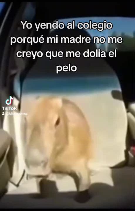 Me Paso Meme Subido Por Elpapadetupac Memedroid