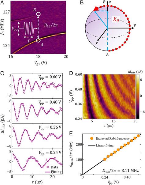 Coherent Phonon Dynamics In Spatially Separated Graphene Mechanical