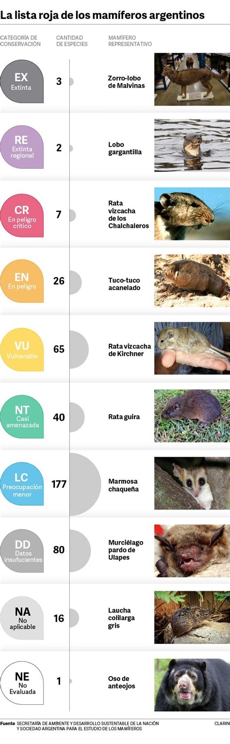 La Lista Roja Existen Especies De Mam Feros En Todo El Pa S Y El