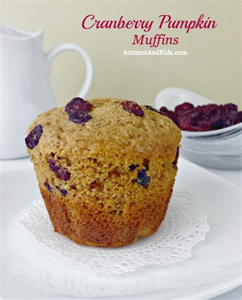 Cranberry Pumpkin Muffins Recipe Chefthisup