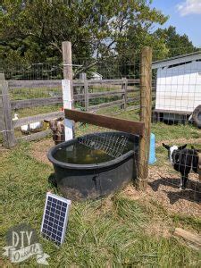 How to Keep a Water Trough Clean for Livestock - DIY Danielle®