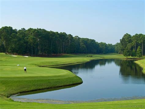 Golf Ponds Naturalake Biosciences