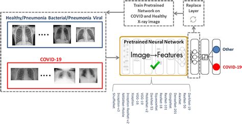 Frontiers The Performance Of Deep Neural Networks In Differentiating