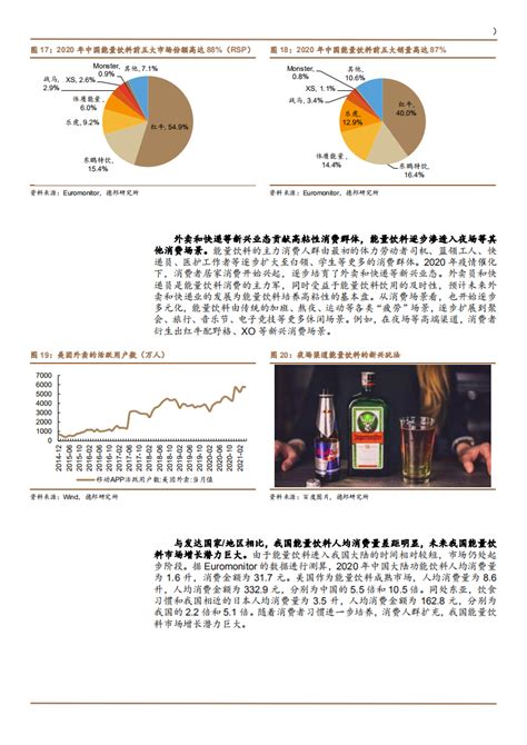 2021年东鹏饮料公司产品差异化定位分析报告（31页） Pdf 先导研报