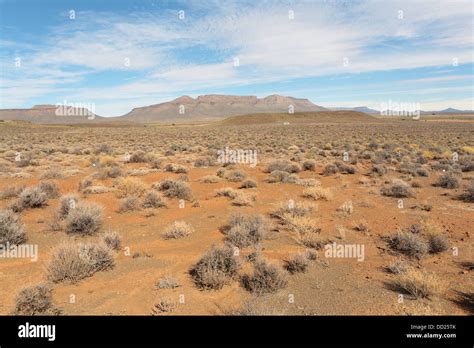 Sparse Vegetation With Mountains In The Background In The Karroo Region