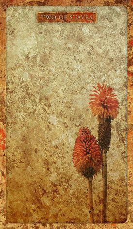 Two Red Flowers Sitting On Top Of A Stone Wall Next To A Brown And