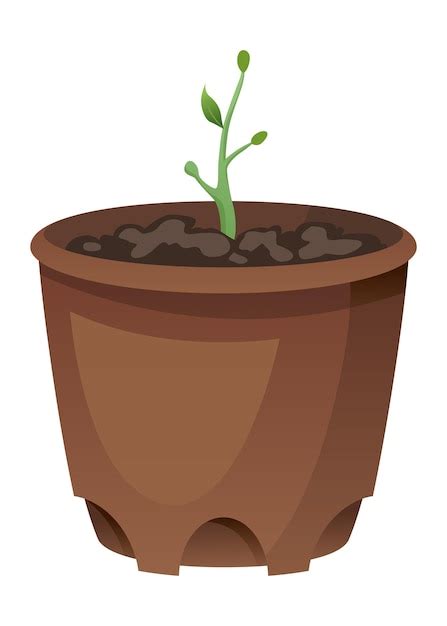 Premium Vector Flower Growth Stage In Brown Pot On White Background