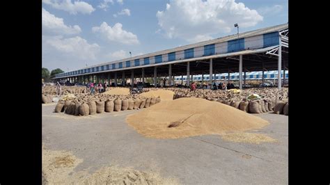 Tardy Lifting Leaves Karnal Mandis Jam Packed Hindustan Times