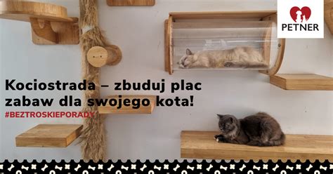 Kociostrada Zbuduj Plac Zabaw Dla Swojego Kota