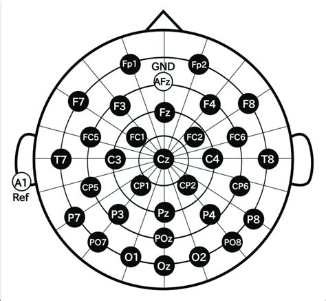 Electrode Positions Download Scientific Diagram