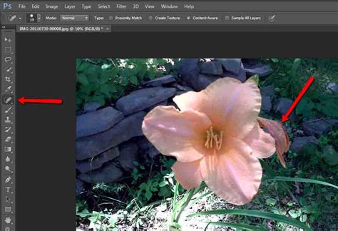 Photoshop Cs6 Tutorial For Beginners