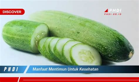 Temukan Manfaat Mentimun Untuk Kesehatan Yang Bikin Kamu Penasaran