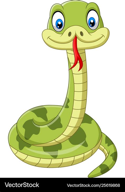 Cute Green Snake Cartoon On White Background Vector Image