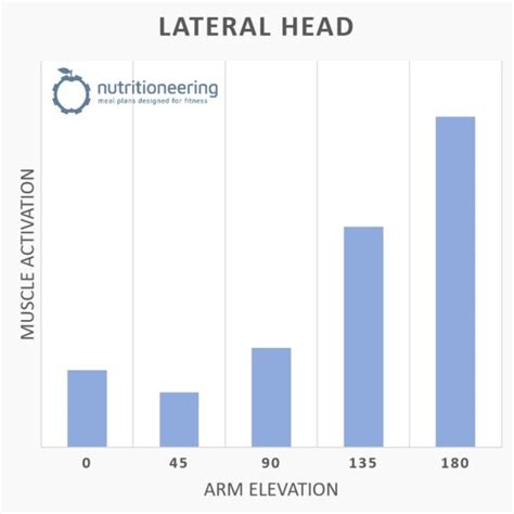 13 Top Lateral Head Tricep Exercises for Chiseled Arms