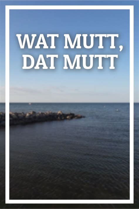 Wat Mutt Dat Mutt Plattdeutscher Spruch Plattdeutsch Spruch