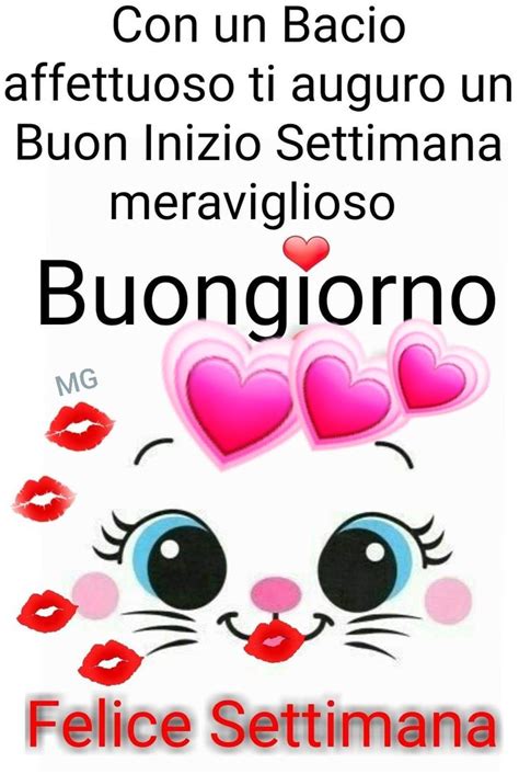 Pin Di MG Su Buongiorno Citazioni Divertenti Buongiorno Buongiorno