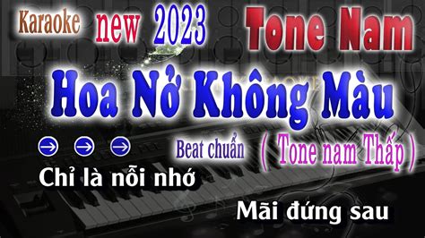 Karaoke Hoa Nở Không Màu Beat Chuẩn Tone Nam Tiktok Karaoke Youtube