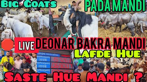 🛑 Live Deonar Bakra Mandi 2024 Day 10 Tour Saste Qurbani Goats