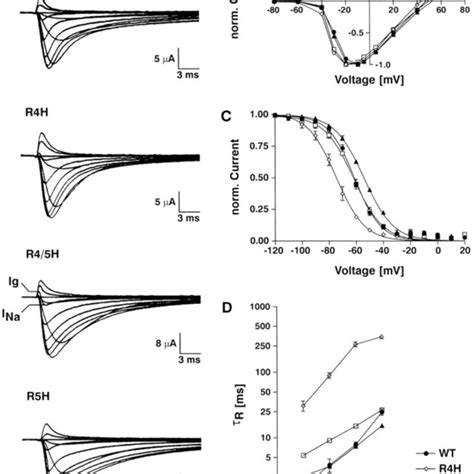 Recovery from fast inactivation of macroscopic ionic and gating ...