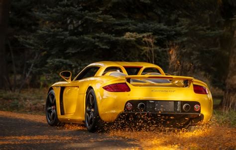 Download wallpaper Porsche, drive, Porsche Carrera GT, rear view ...