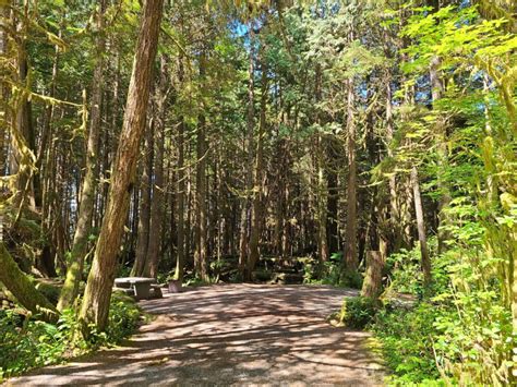 Green Point Campground, The Best Camping Spot Near Tofino - The ...