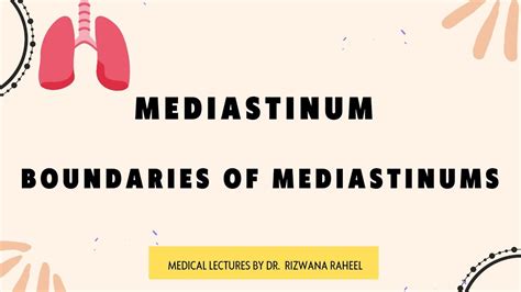 Mediastinum | Boundaries of Mediastinum | Human Anatomy #anatomy #lungs ...
