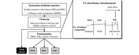 Schematic Flow Chart Of The Extraction Methods And Fractionation Download Scientific Diagram