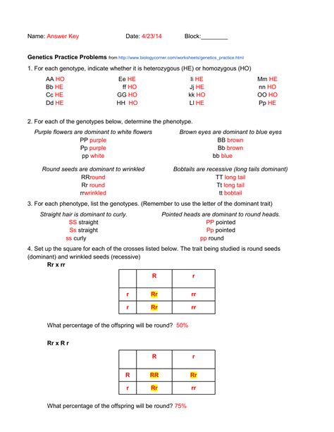 Genetics Problems Worksheets