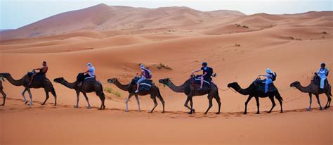 A Night Under the Stars in the Sahara Desert - StudentUniverse Travel Blog