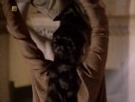 Ermessenda Nude Pics Page