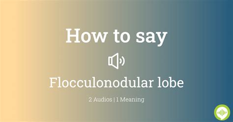 How to pronounce flocculonodular lobe | HowToPronounce.com