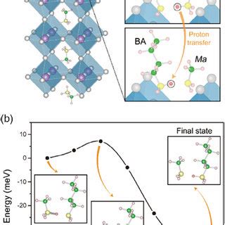 a Schematic diagram of the proton transfer process between Ba and MA þ