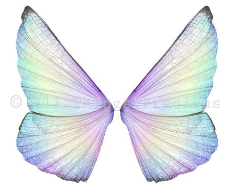 Png Overlays Digital Fairy Wings For Fantasy Photoshop Edits