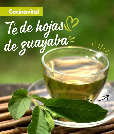 Té de hojas de guayaba para reforzar el sistema inmune Cocina Vital