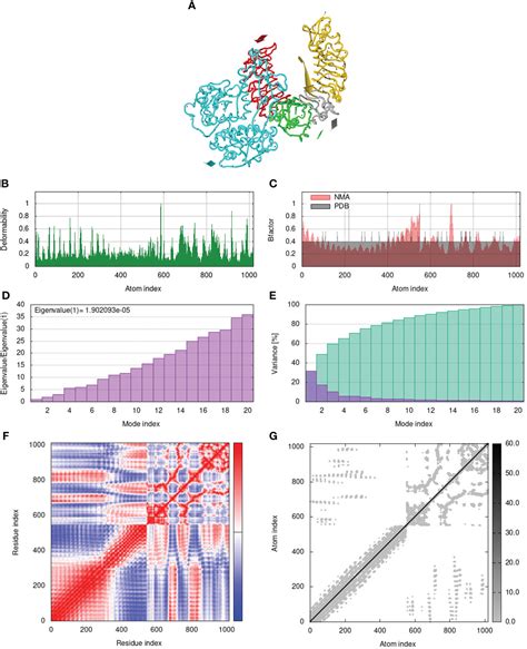 Frontiers Design Of A Multi Epitope Vaccine Against Goatpox Virus