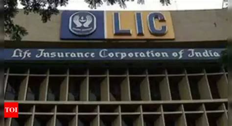 In Charts Everything You Need To Know About Lic S Ipo Times Of India