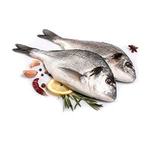 Интернет-магазин морепродуктов и рыбы