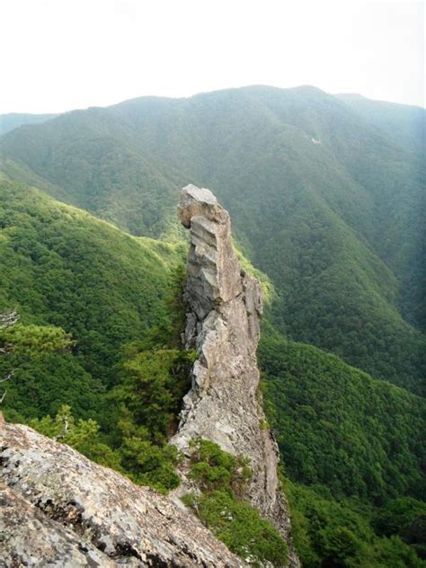 女鳥羽川源流から烏帽子岩へ 登山レポート 登山・アウトドア用品の専門店【好日山荘】