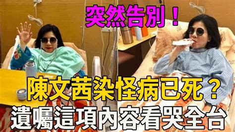 65歲陳文茜染怪病已死？躺病床向世界告別，遺囑公佈這項內容看哭全台 陳文茜 娛樂百曉生 Youtube