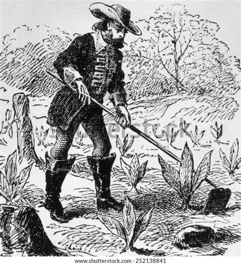 John Rolfe 15851622 Jamestown Virginia Colonist Stock Illustration ...