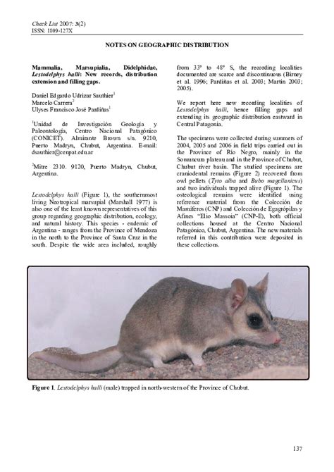 Pdf Mammalia Marsupialia Didelphidae Lestodelphys Halli New