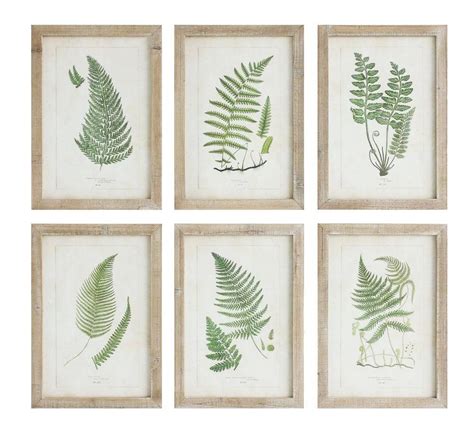 Green Fern Botanical Prints With Rustic Frame Set Of Fern Wall Art