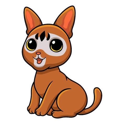 Pie de dibujos animados lindo gato tonkinés Vector Premium