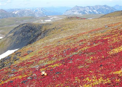 Pegunungan Gunung Berapi Tundra Foto Gratis Di Pixabay Pixabay