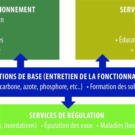 Typologie De Grands Types De Services écosystémiques Download