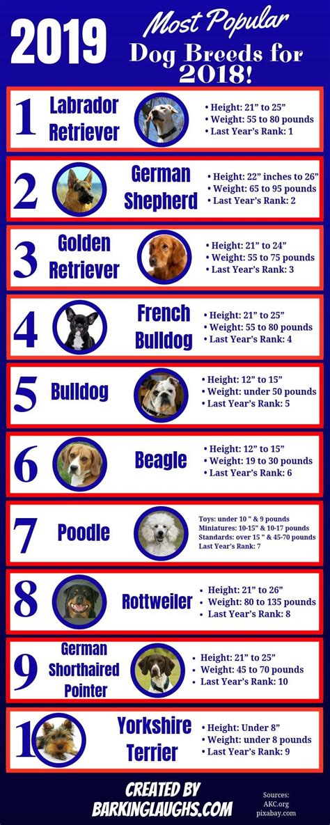 What Is The Most Popular Dog Breed 2019